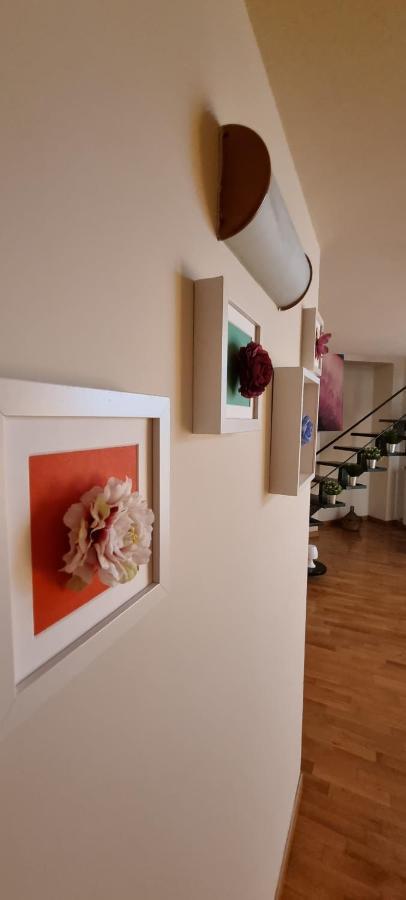 Leonardo Home Caserta Eksteriør bilde